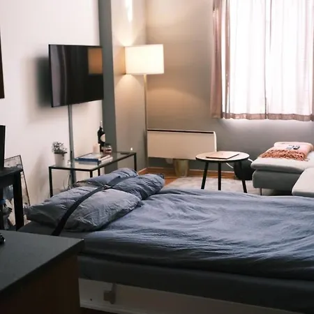 Studio Apartment * אוסלו