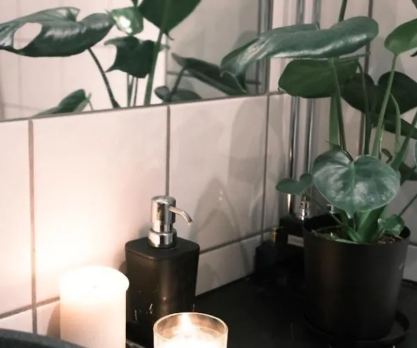 Studio Apartment Apartment